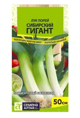Быстрорастущая зелень лука порея для выращивания дома купить по цене 149  руб. в интернет-магазине SadDomShop.ru
