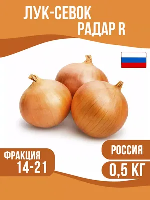 Купить семена лука озимого Радар|интернет-магазин ogurki.com