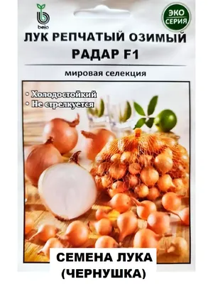 Лук-севок Радар 500 г купить недорого в интернет-магазине товаров для сада  Бауцентр