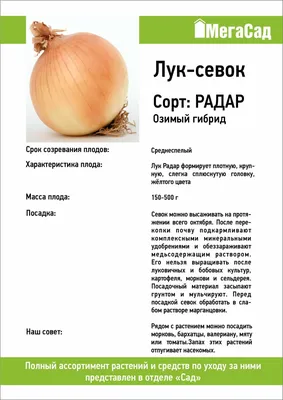 Лук-севок Радар 450гр купить с доставкой в МЕГАСТРОЙ Наб.Челны