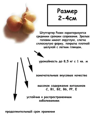 Компания: Мокеева Надежда Ивановна