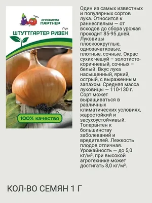 Разные сорта репчатого лука, …» — создано в Шедевруме