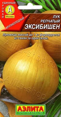 Лук репчатый 1 кг. – купить в интернет-магазине \"Сибирский Продукт\"