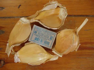 Продам лук-чеснок Рокамболь, купить лук-чеснок Рокамболь, Закарпатская обл  — Agro-Ukraine