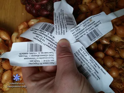 Лук-севок озимый Геркулес (Hercules), Голландия, 1 кг (ID#1445549774),  цена: 170 ₴, купить на Prom.ua