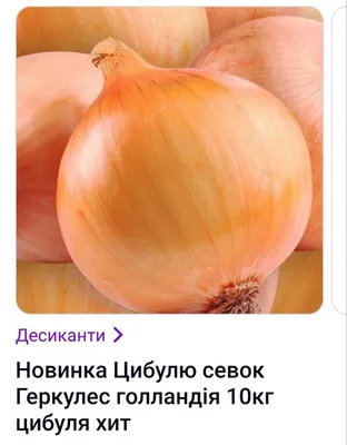Стоит ли покупать Ависта лук-севок Геркулес F1 0.5 кг? Отзывы на Яндекс  Маркете