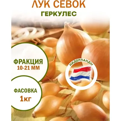 Купить лук севок геркулес крупный в Сарапуле с доставкой - База \"Богатырь\"