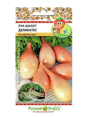 Зеленый лук: польза и вред для организма человека, калорийность и как  выбрать. Спорт-Экспресс