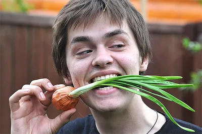 Лук репчатый (лат. Állium cépa) – тема научной статьи по наукам о здоровье  читайте бесплатно текст научно-исследовательской работы в электронной  библиотеке КиберЛенинка