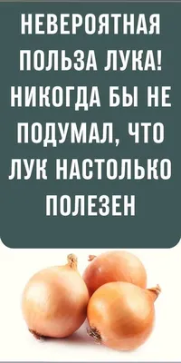 полезный лук