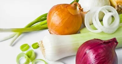 НК-Русский огород Лук Шалот Деликатес, 2 пакета - купить по выгодным ценам  в интернет-магазине OZON (569760140)