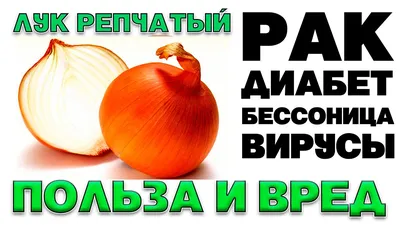 BB.lv: Чем полезен зеленый лук и как его применять на кухне