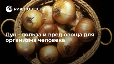 Купить Лук-шалот Лонгор в Москве и РФ. Описание сорта. Пункты самовывоза.  Почтой (наложенный платеж). Доставка курьером по МО.