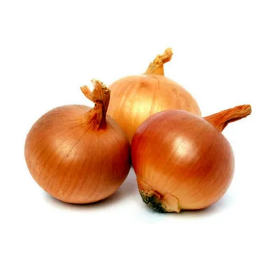 Лук севок Шекспир (10-21 мм) семна лука сеянца TOP Onion Sets купить с  доставкой по Украине