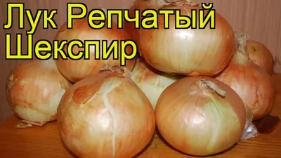 Лук-севок Triumfus Onion Products Семена овощей