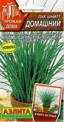 Лук шнитт, О.Батат, 100 г - купить с доставкой в Москве и Обл  Интернет-магазин органических продуктов | Рожь Да Лён