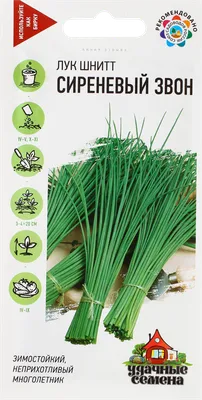 Купить семена: Лук шнитт Богемия - цены,фото,отзывы | Green-Club.com.ua