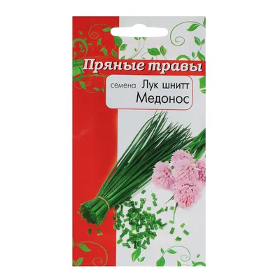 Лук Шнитт