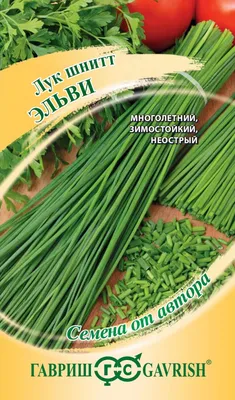 Шнитт лук купить, фото ⋆ интернет магазин blumgarden.ru