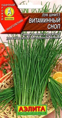 Семена Лук шнитт Медонос - купить по выгодной цене | Урожайка