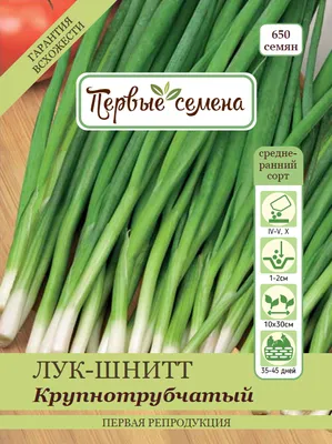 Лук Шнитт, 1 г, Садыба (ID#888734743), цена: 9 ₴, купить на Prom.ua
