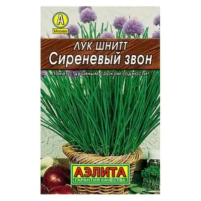 Лук шнитт Мудрец 0,5 г купить недорого в интернет-магазине товаров для сада  Бауцентр