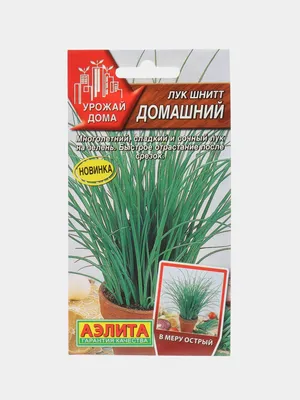 Лук шнитт купить в Fruitonline