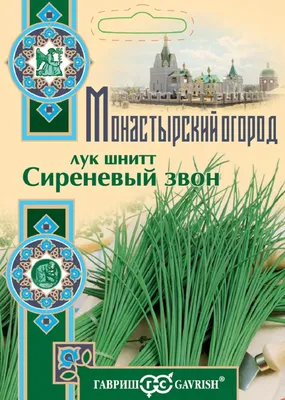 Купить - Лук Шнитт Медунок/Сем Алт/цп 0,5 гр. НОВИНКА!. Alsemya.ru -  интернет магазин семян и саженцев, газонов и удобрений!