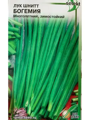 Maxi Лук шнитт \"Богемия\"