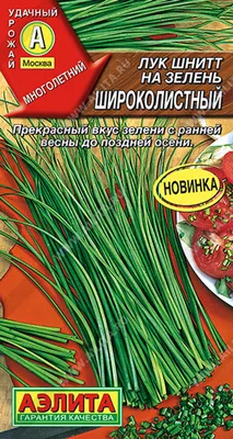 Семена удачи Лук шнитт семена сорт Богемия