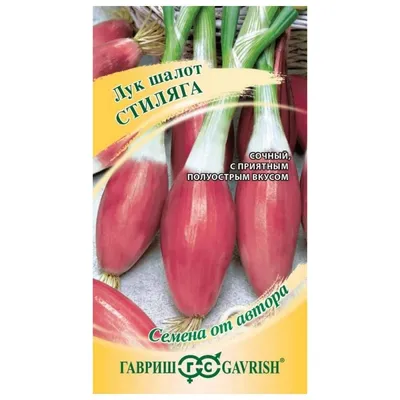 Лук шалот Изумруд 0,1г Ранн (Гавриш): продажа, цена в Гомеле. Семена и  клубни трав и цветов от \"ХозТовары\" - 176216357