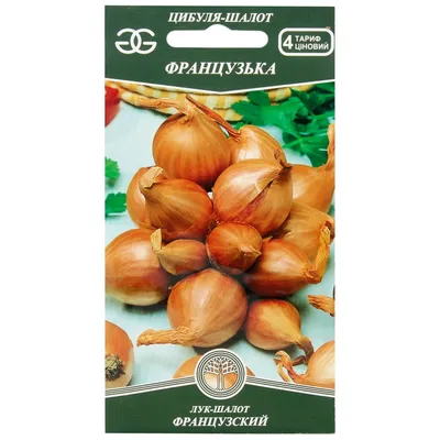 Купить Лук шалот Псковский (ДС) 60 шт от