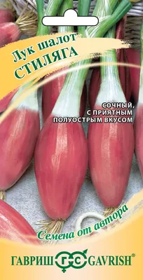 Красный лук-шалот, изолированные на белом фоне | Премиум Фото