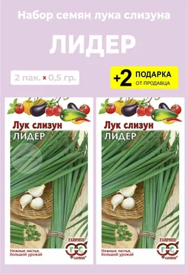 Лук-слизун (Allium nutans) — описание, выращивание, фото | на LePlants.ru