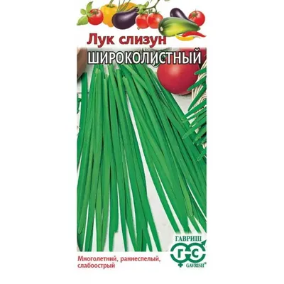 Лук слизун Кладезь здоровья 0,5г, семена | Купить в интернет магазине Аэлита
