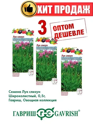 Лук слизун Витаминная поляна 0,3г Ц Премиум Сидс – купить в Казани по  низкой цене | Питомник «Биосфера»: саженцы, грунты, садовый инвентарь