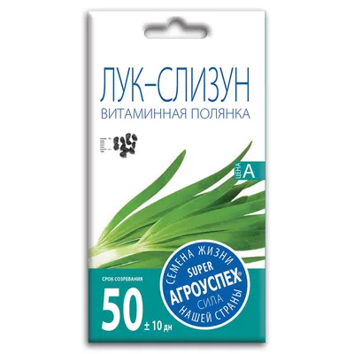 Лук слизун Широколистный 0,5 г (3уп) Гавриш 77941177 купить за 243 ₽ в  интернет-магазине Wildberries
