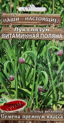 Семена Лук шнитт Медонос (а/ф Уральский Дачник) купить за 23 р. в садовом  центре АСТ Медовое