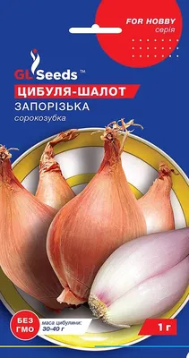 Лук сорокозубка фото фото