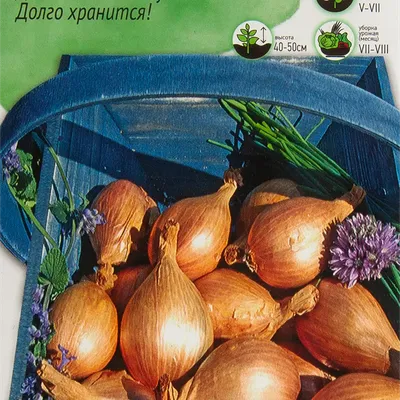 Купити Насіння - Цибуля шалот Сорокозубка 0,25 г. ❱❱ Колібрі-маркет ❰❰❰