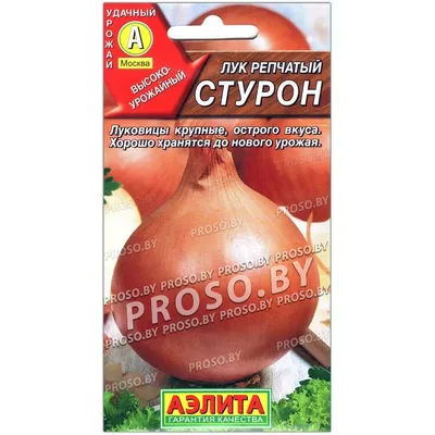 Лук-севок Поиск Стурон, 0,5 кг купить в Москве по цене 593.00 р с доставкой  в интернет-магазине | ФРОНТМАСТЕР