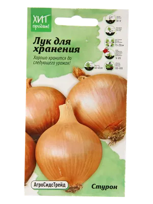 https://ozon.by/product/luk-sevok-sturon-1295601422/