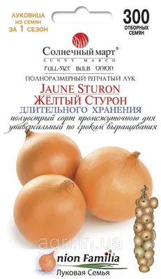 Лук Севок Стурон Крупный (21-24 мм) импорт 0,5кг - Садовые Истории