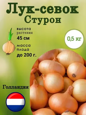 Лук Желтый Стурон, 300шт.: продажа, цена в Киеве. Семена и рассада овощных  культур от \"ТМ Агри\" - 1277461394