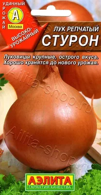 Лук-севок Стурон 0,5 кг купить недорого в интернет-магазине товаров для  сада Бауцентр