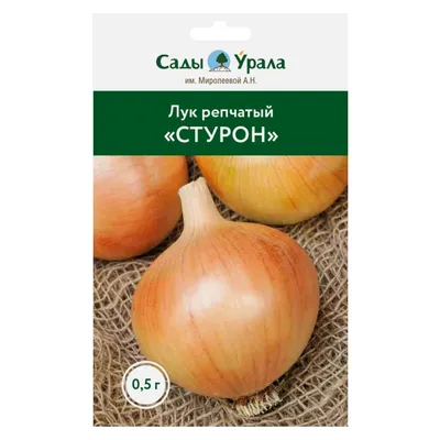Лук севок Стурон TOP Onions Голландия 0,5 кг – фото, отзывы, характеристики  в интернет-магазине ROZETKA от продавца: ROMANOVA | Купить в Украине:  Киеве, Харькове, Днепре, Одессе, Запорожье, Львове