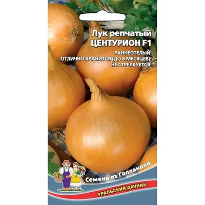 Лук Севок Центурион F1 Голландия 1 кг - Иван-и-Марья интернет-магазин для  садоводов с доставкой по всей России. -