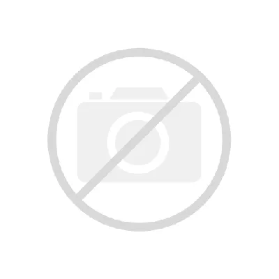 Лук севок Центурион F1 21/24 Голландия 0,45кг фасованный в Центральной  Стройбазе купить по низкой цене