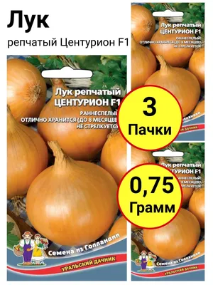 Лук Центурион F1 - фото урожая, цены, отзывы и особенности выращивания