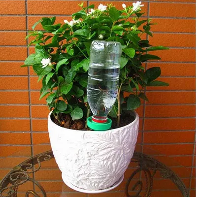 Пластиковые бутылки для полива растений суккулент сад воды 2л банок стиль  римский спрей банка | AliExpress